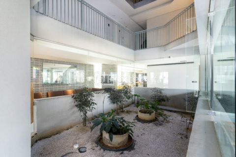 Image 39 - 1032039