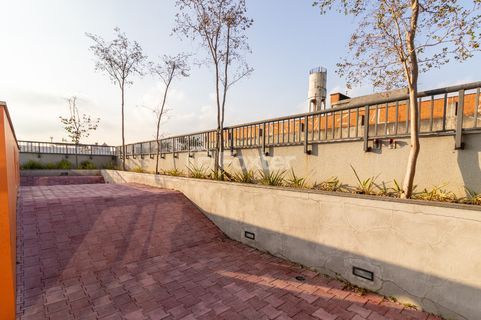 Image 36 - 1032062