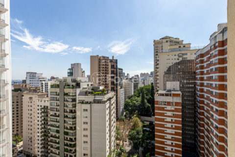 Image 25 - 1032102