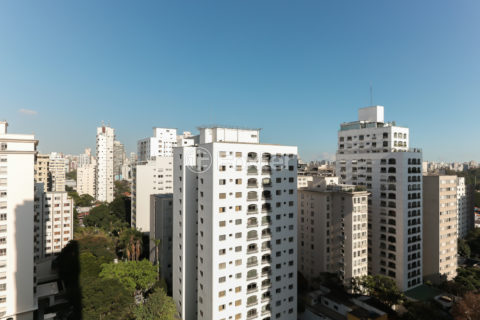 Image 7 - 1032106