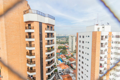 Image 33 - 1032174