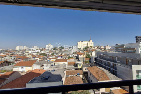 Image 40 - 1032210
