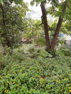 Image 13 - 1032259