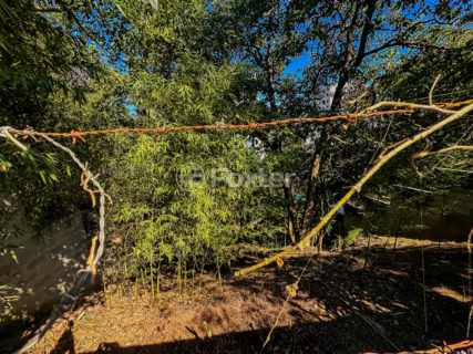 Image 3 - 1032259