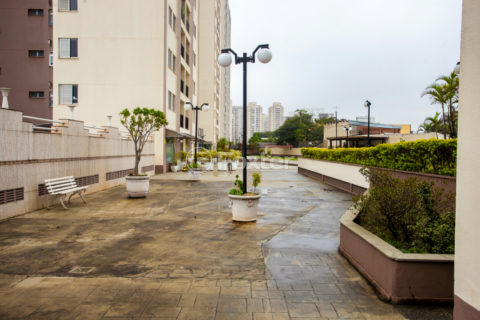 Image 38 - 1032287