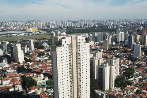 Image 103 - 1032341