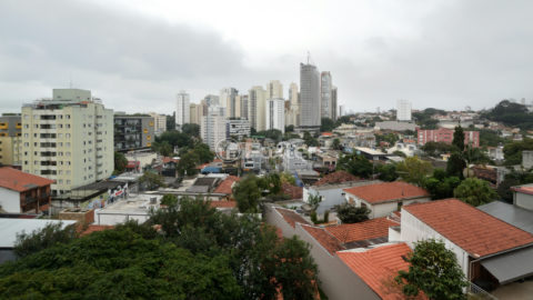 Image 27 - 1032347