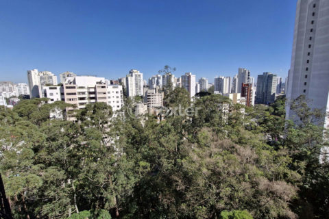 Image 29 - 1032396