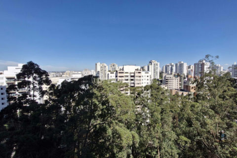 Image 35 - 1032396