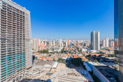Image 14 - 1032435