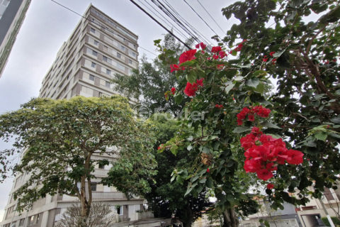 Image 38 - 1032444