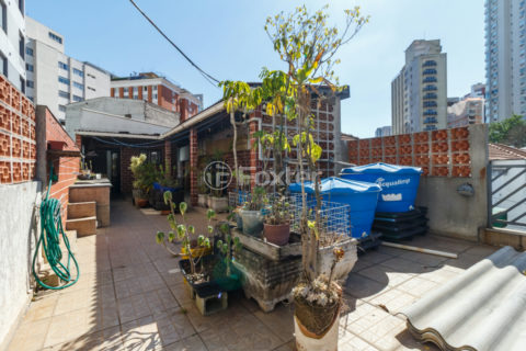 Image 41 - 1032458