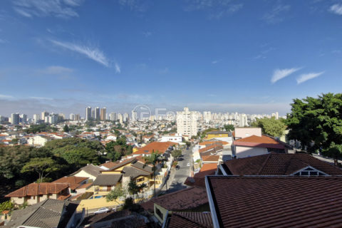 Image 22 - 1032465