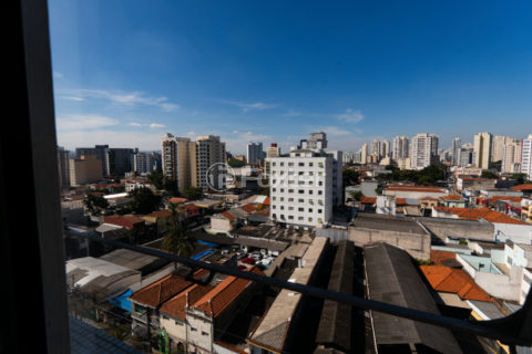 Image 41 - 1032498