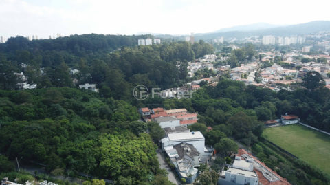 Image 35 - 1032540