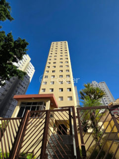 Image 41 - 1032566