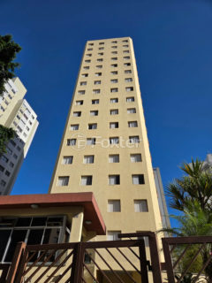Image 43 - 1032566