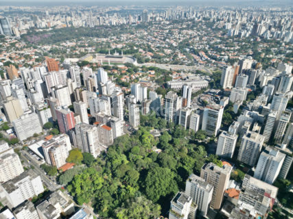 Image 28 - 1032581