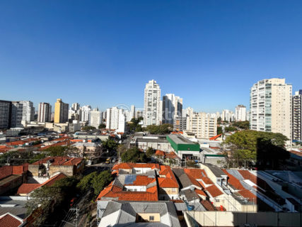 Image 35 - 1032661