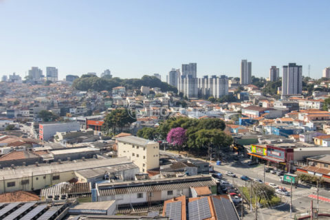 Image 39 - 1032695