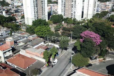 Image 32 - 1032741