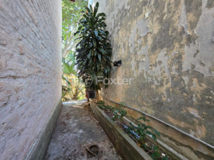 Image 44 - 1032794