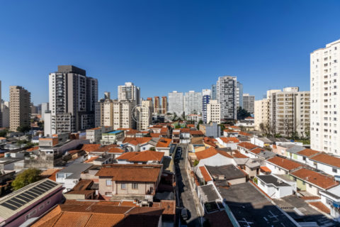Image 35 - 1032825