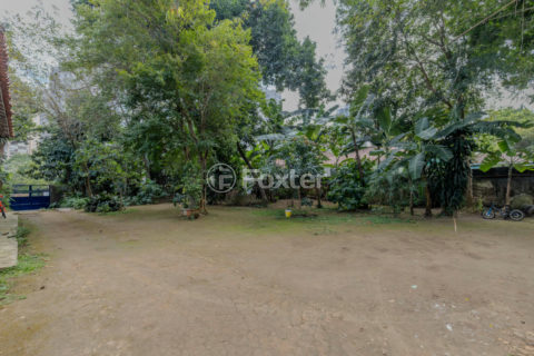 Image 11 - 1032844
