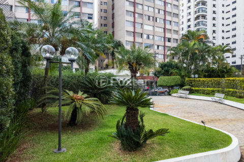 Image 81 - 1032846