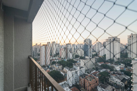 Image 8 - 1032855
