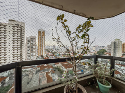 Image 7 - 1032871