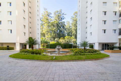 Image 41 - 1032937