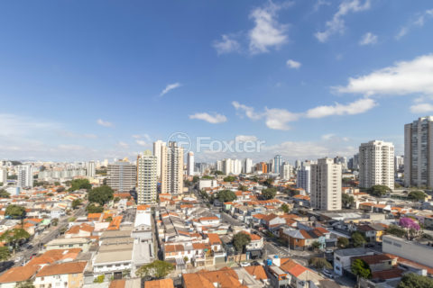 Image 37 - 1032939