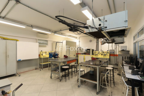 Image 31 - 1032962