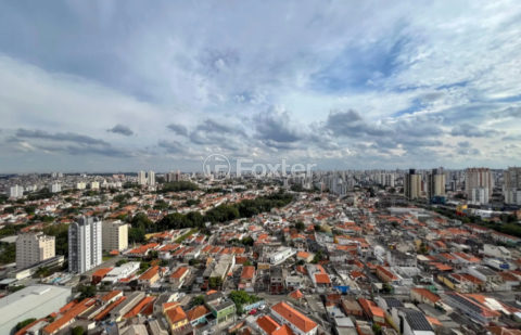 Image 2 - 1033048