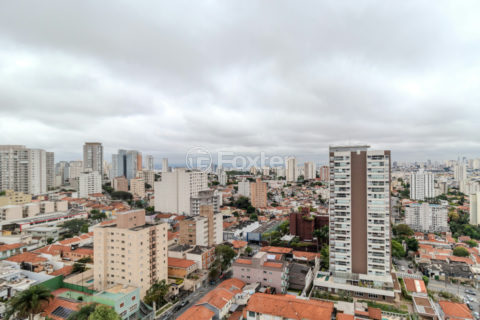 Image 13 - 1033055