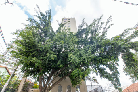 Image 31 - 1033088