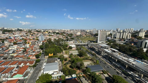 Image 15 - 1033178