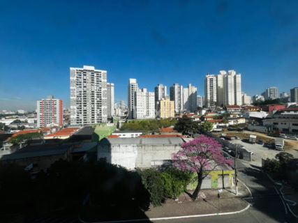 Image 5 - 1033184