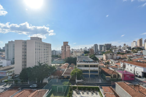 Image 14 - 1033212