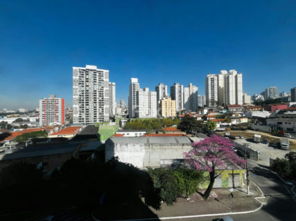 Image 7 - 1033221