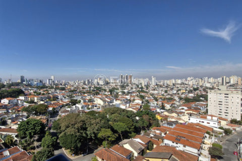Image 23 - 1033232