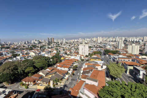 Image 20 - 1033232