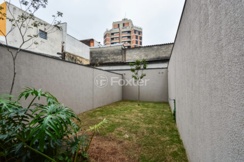 Image 24 - 1033250