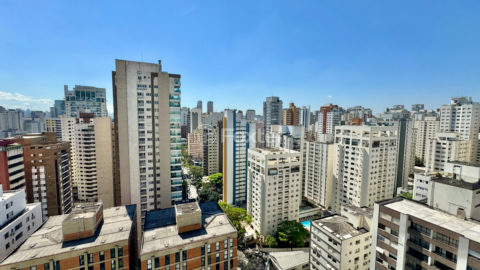 Image 10 - 1033269