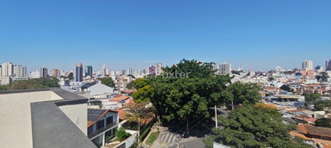Image 35 - 1033334