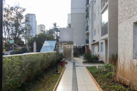 Image 35 - 1033335