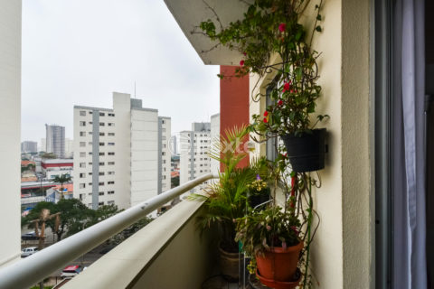 Image 5 - 1033337
