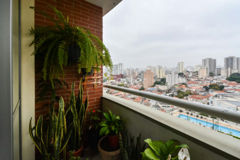 Image 4 - 1033337