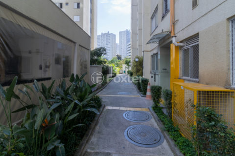Image 38 - 1033344